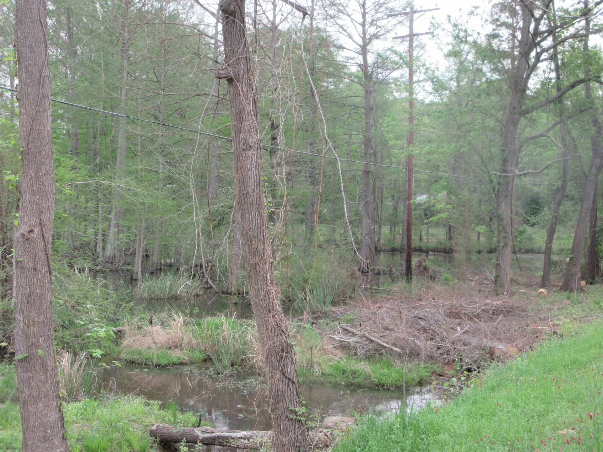13.07 acres in Gregg County - photo 12