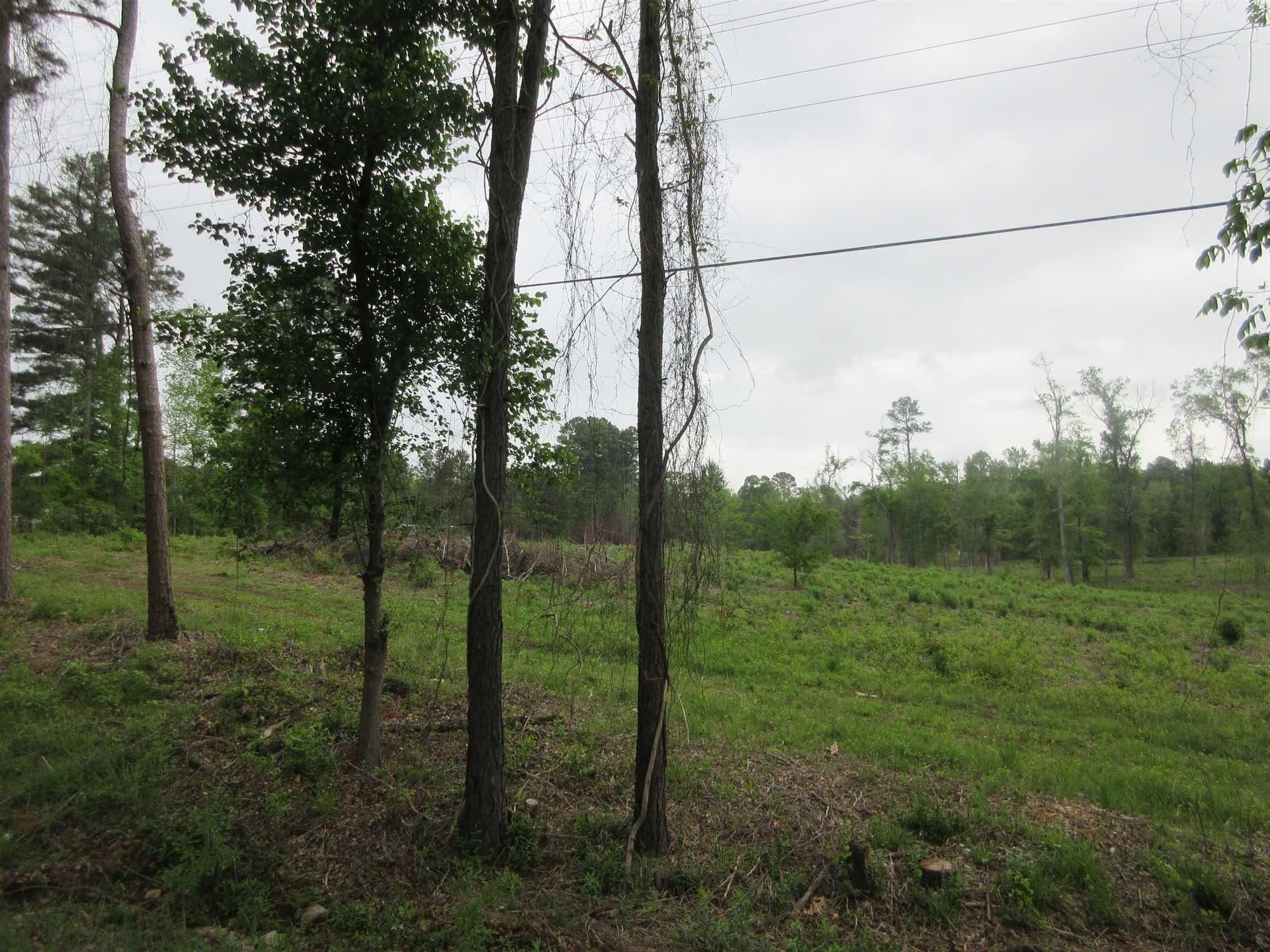 13.07 acres in Gregg County - photo 7