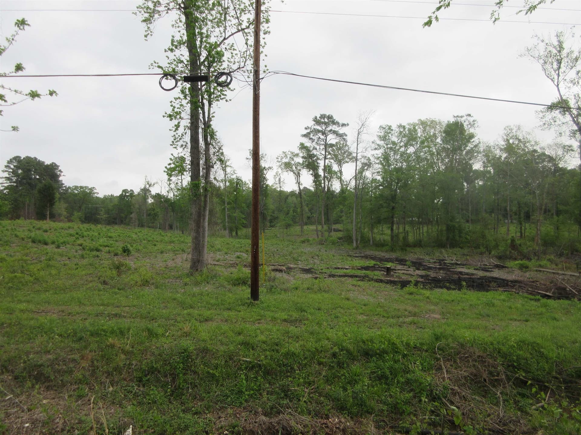 13.07 acres in Gregg County - photo 9