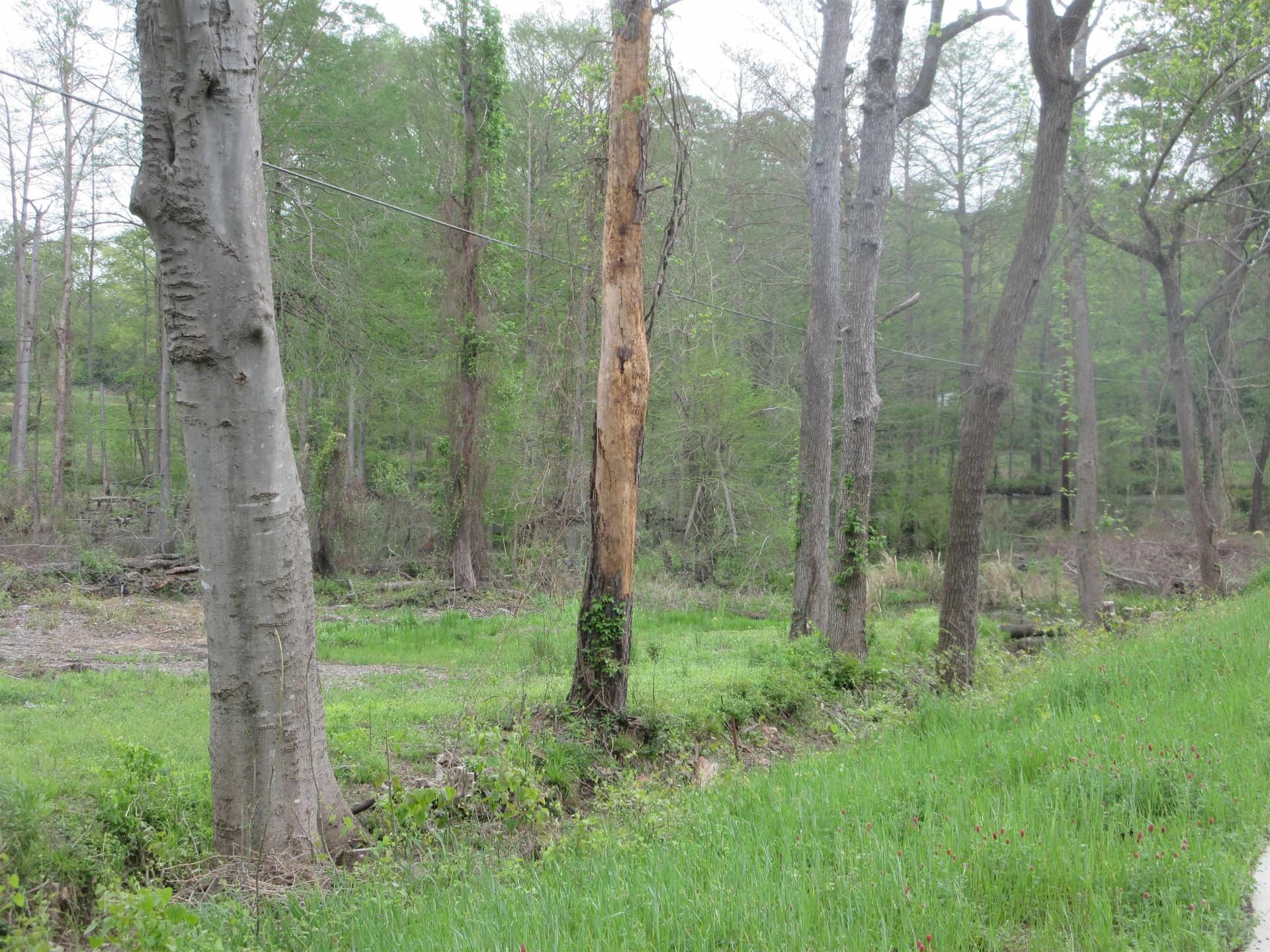 13.07 acres in Gregg County - photo 17