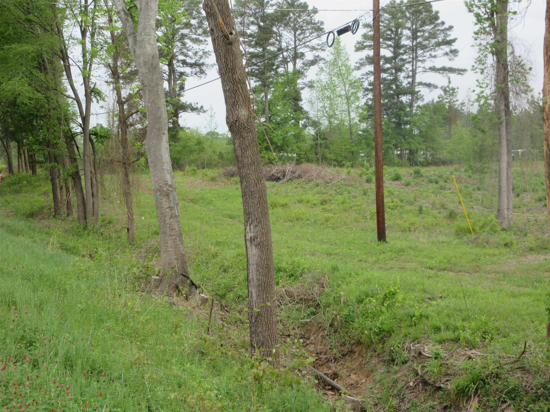 13.07 acres in Gregg County - photo 15
