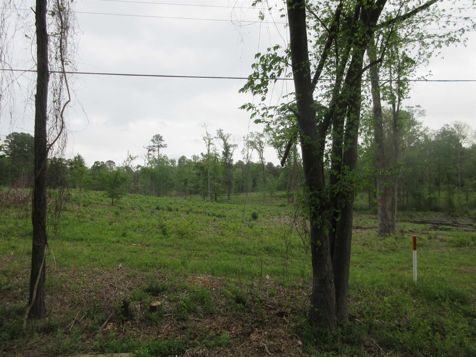 13.07 acres in Gregg County - photo 8