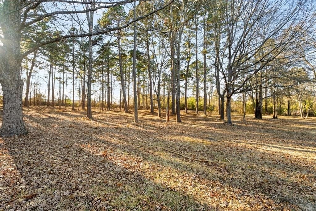 6.11 acres in Smith County - photo 5