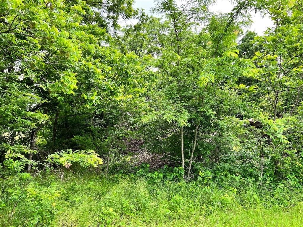 1.02 acres in Navarro County - photo 10