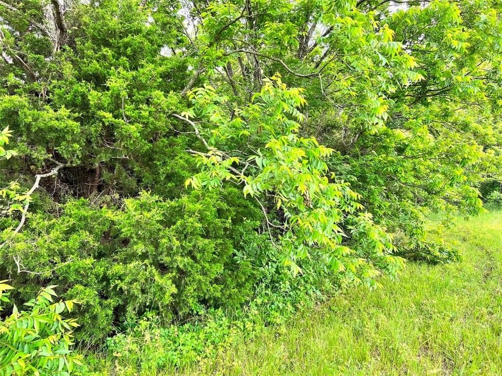 1.02 acres in Navarro County - photo 19