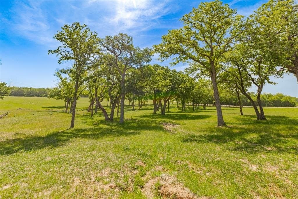 94.12 acres in Wise County - photo 35