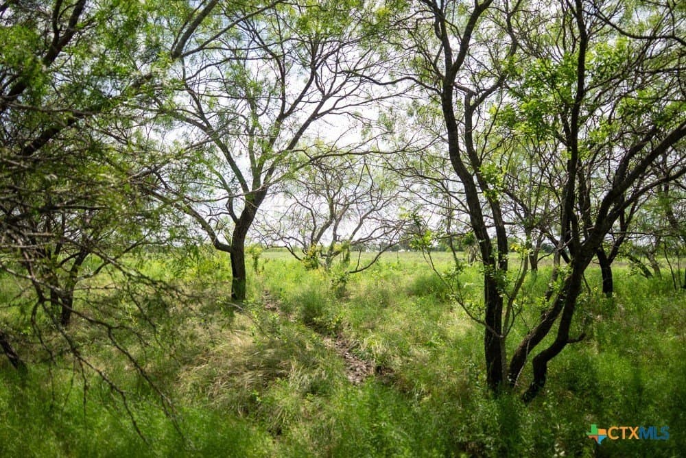 50 acres in McLennan County - photo 26