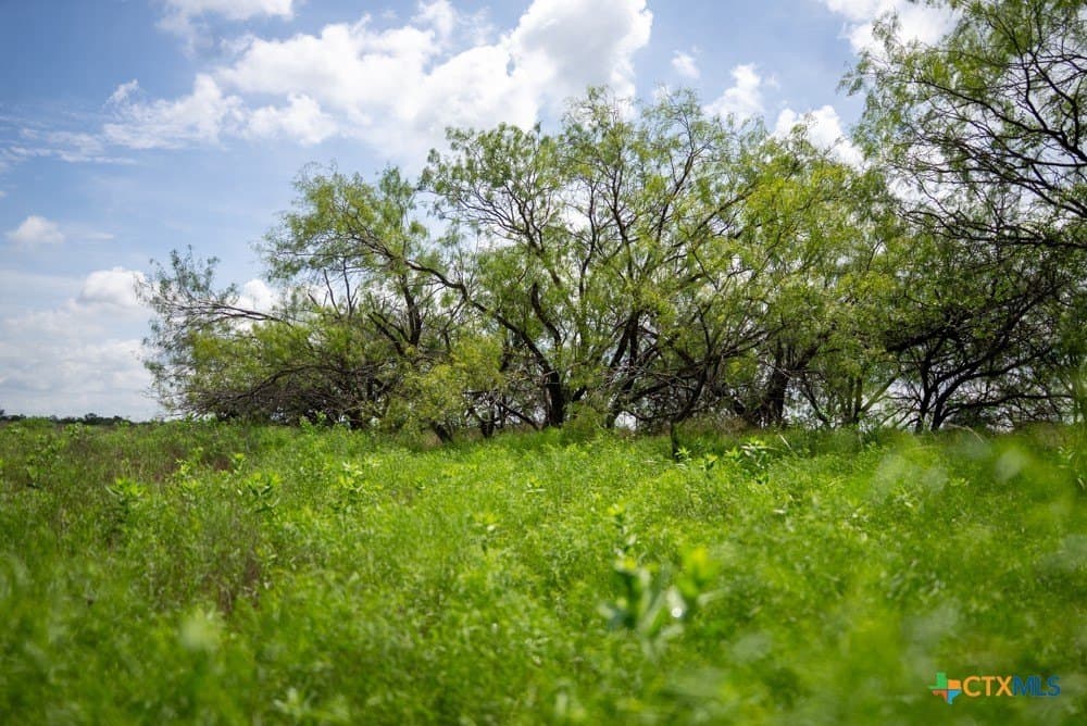 50 acres in McLennan County - photo 29