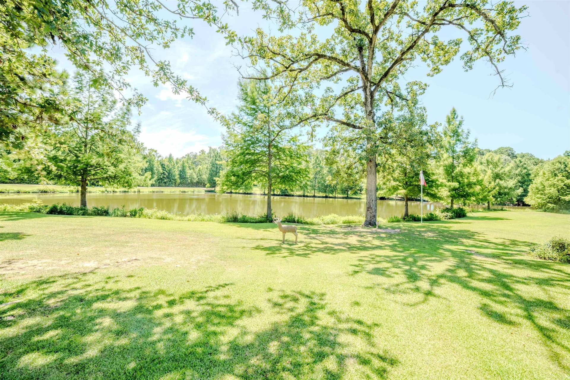 51.28 acres in Upshur County - photo 6