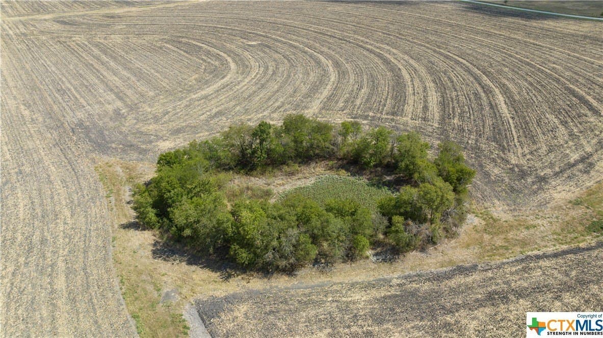 37.72 acres in Bell County - photo 9