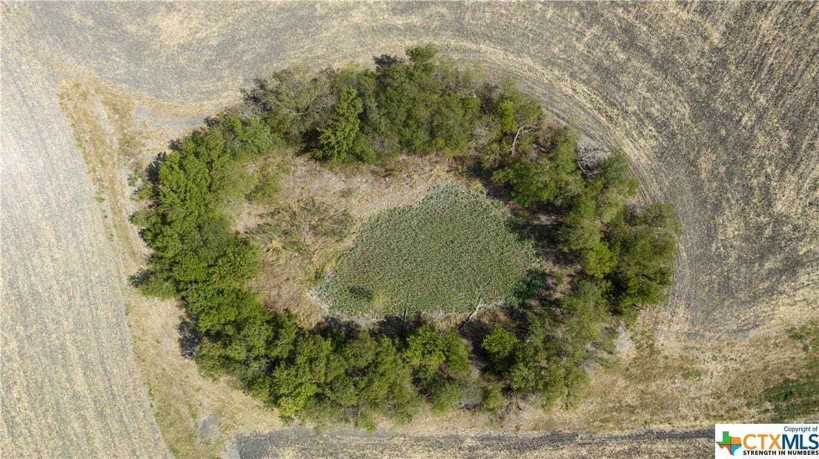 37.72 acres in Bell County - photo 8