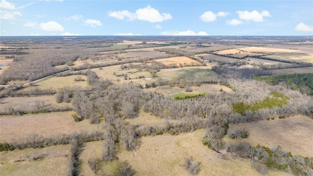 216.5 acres in Red River County - photo 4
