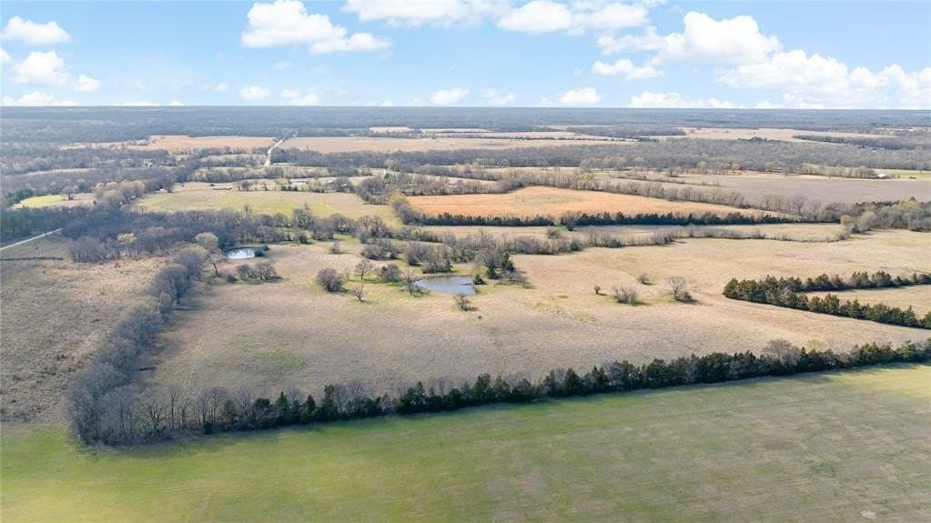 216.5 acres in Red River County - photo 5