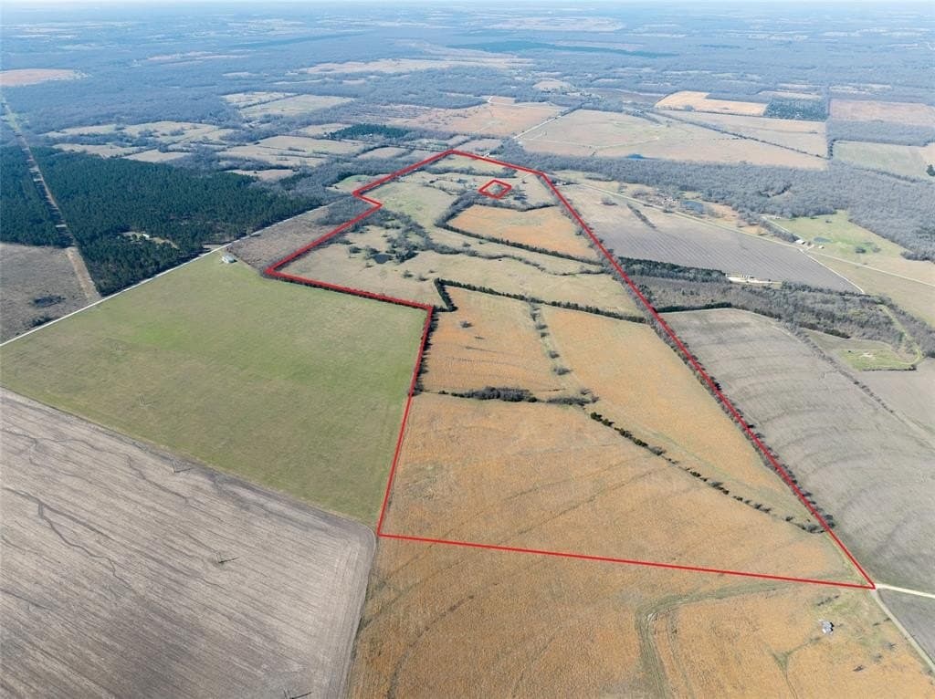 216.5 acres in Red River County - photo 2