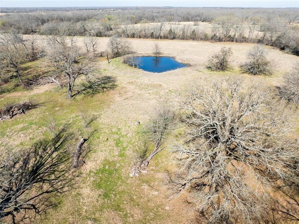 216.5 acres in Red River County - photo 26