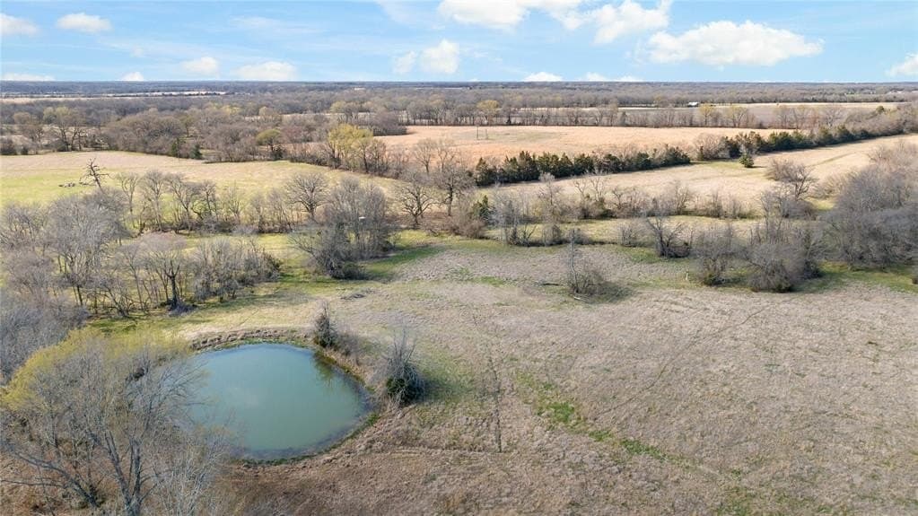 216.5 acres in Red River County - photo 7
