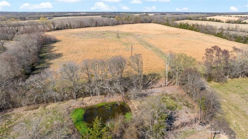 216.5 acres in Red River County - photo 10