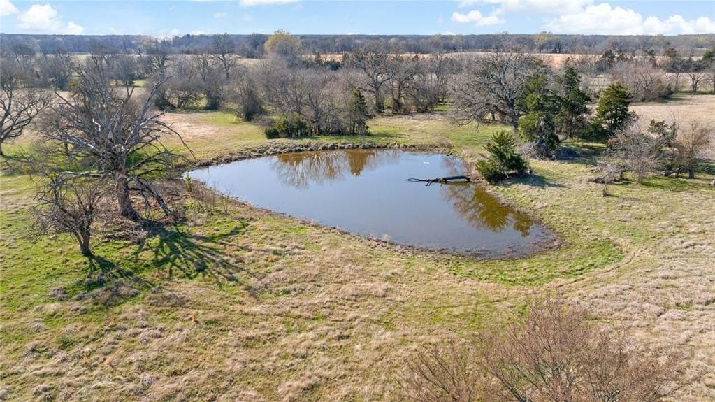 216.5 acres in Red River County - photo 17