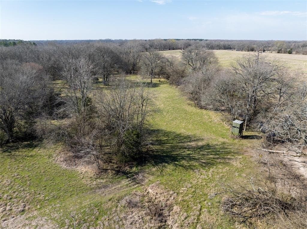 216.5 acres in Red River County - photo 24