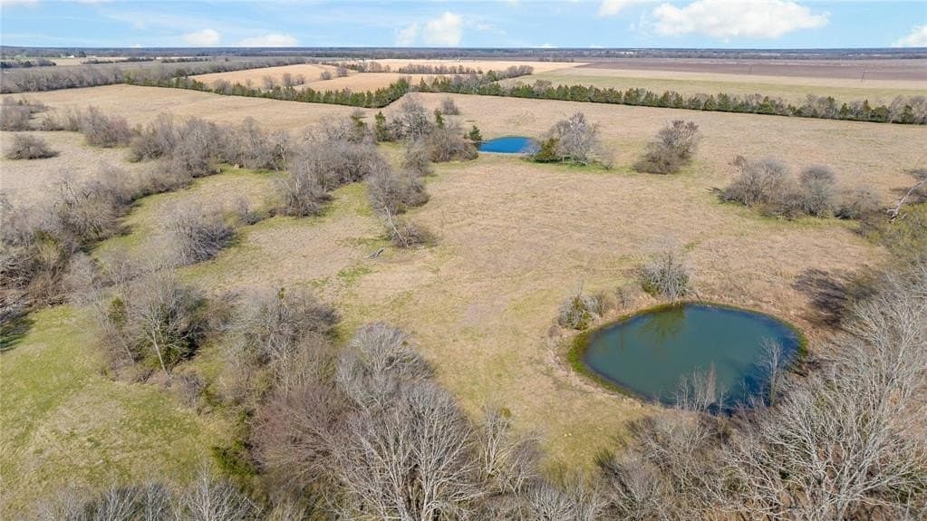 216.5 acres in Red River County - photo 11