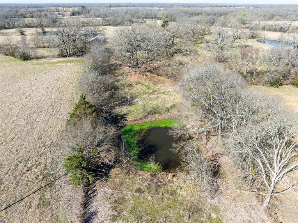216.5 acres in Red River County - photo 25