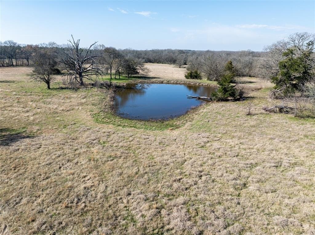 216.5 acres in Red River County - photo 22