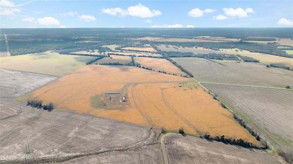 216.5 acres in Red River County - photo 8
