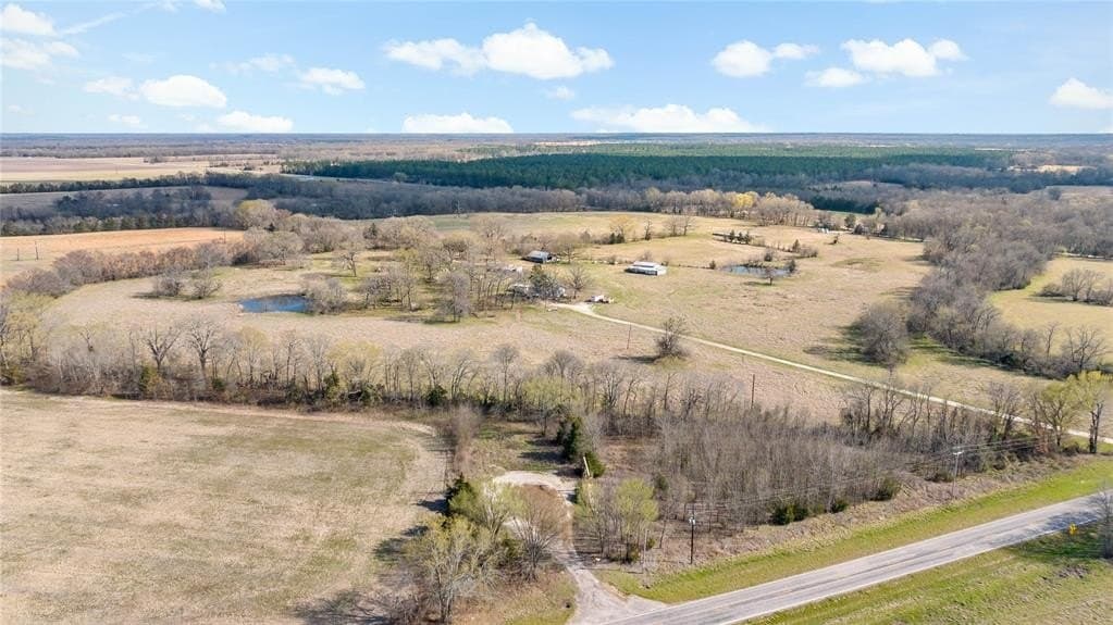 216.5 acres in Red River County - photo 9