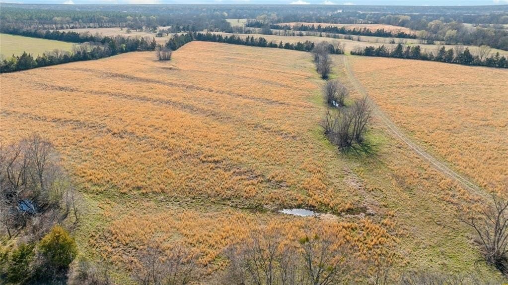 216.5 acres in Red River County - photo 15