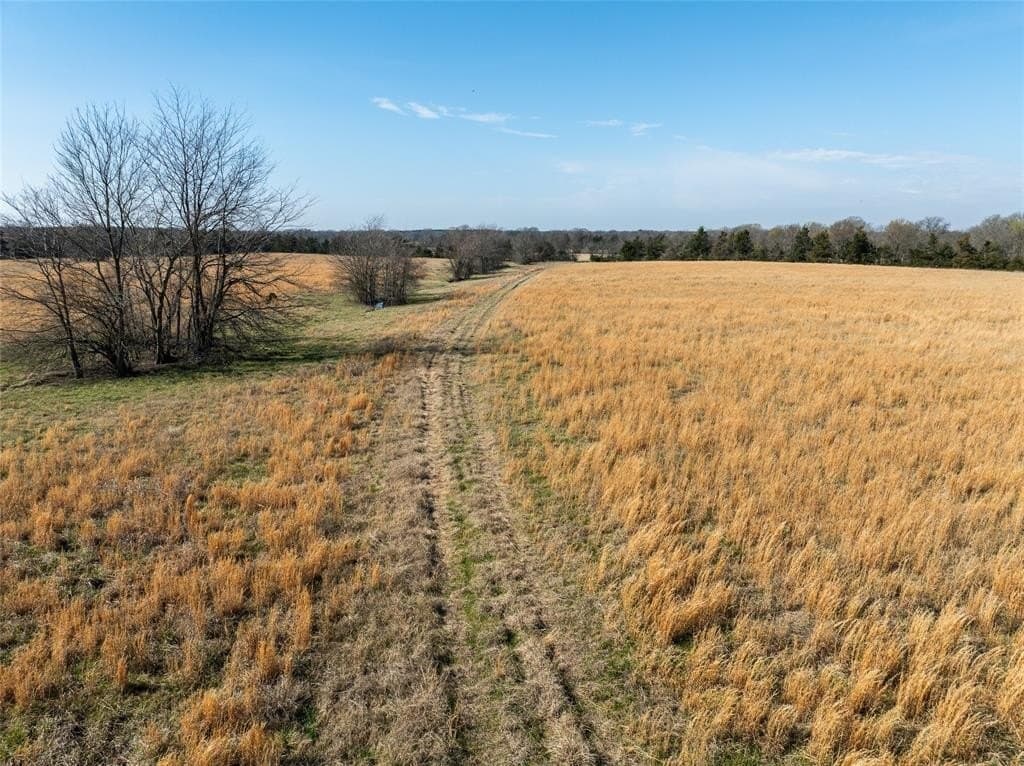 216.5 acres in Red River County - photo 19
