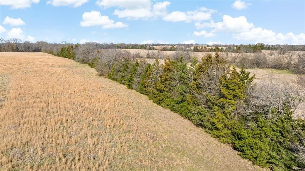 216.5 acres in Red River County - photo 13