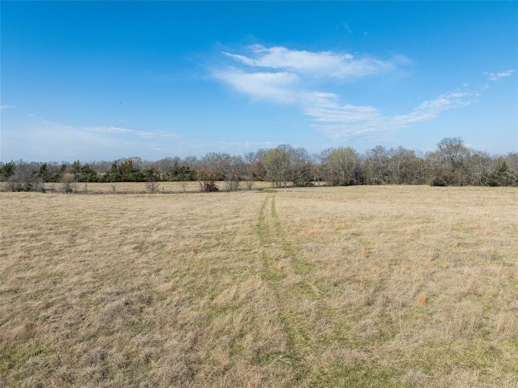 216.5 acres in Red River County - photo 20