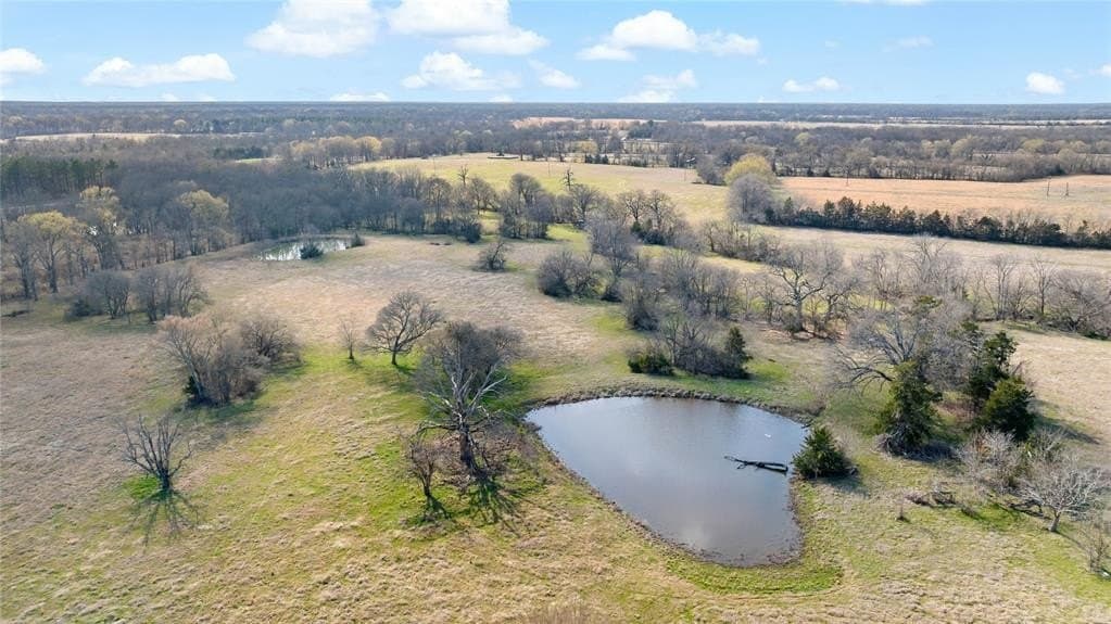 216.5 acres in Red River County - photo 6