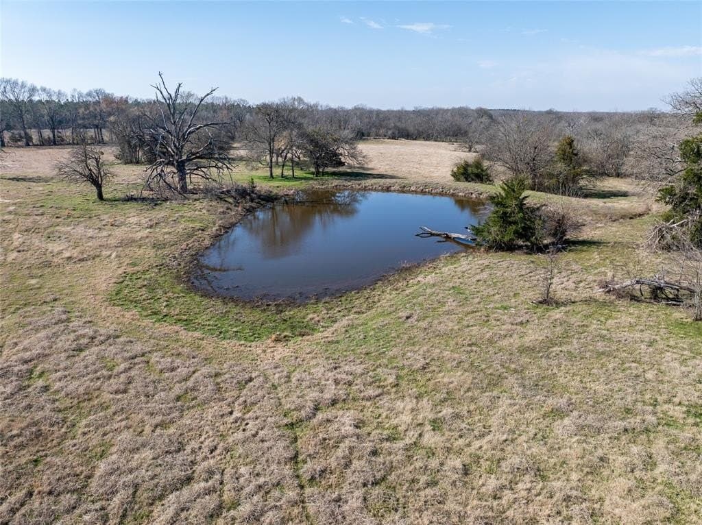 216.5 acres in Red River County - photo 21