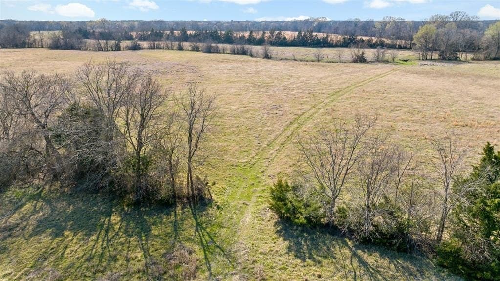 216.5 acres in Red River County - photo 16