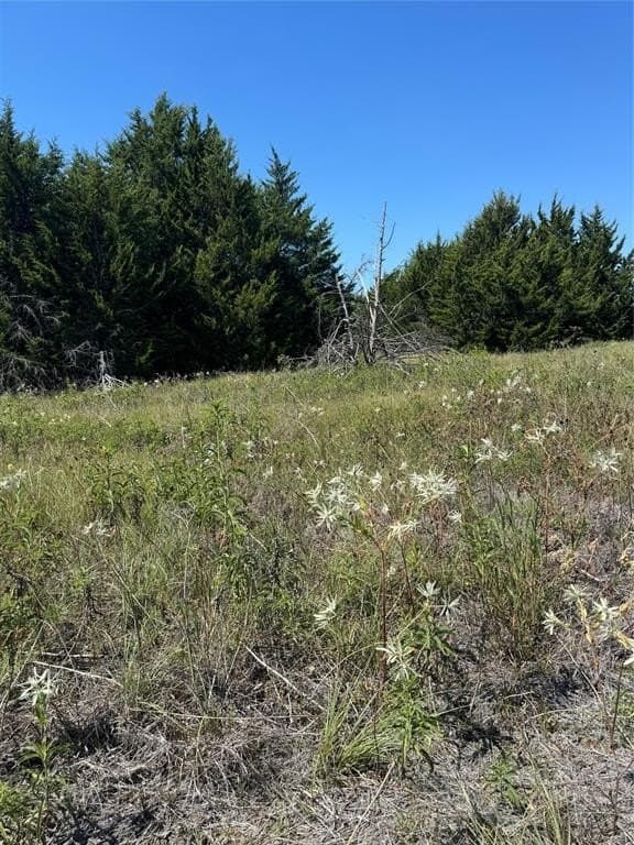 16.25 acres in Ellis County - photo 5