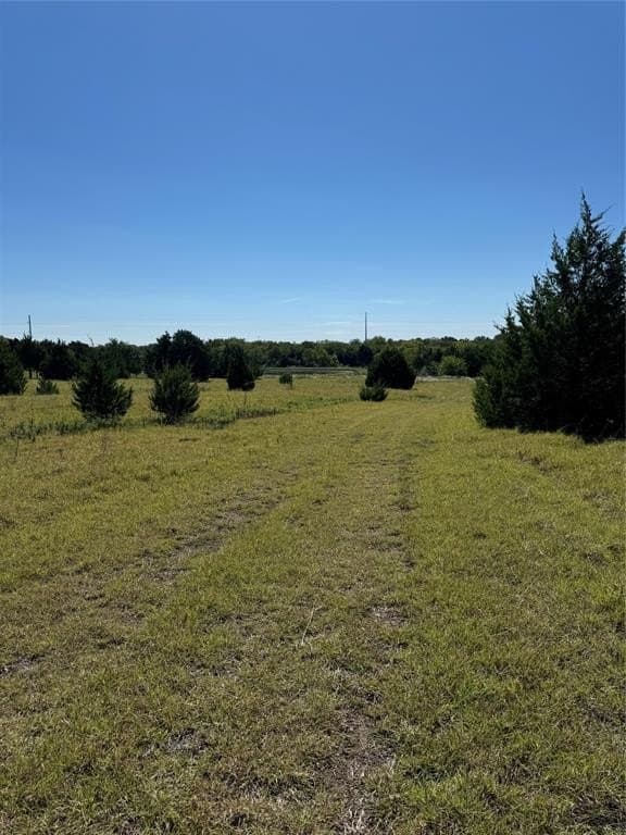 16.25 acres in Ellis County - photo 2
