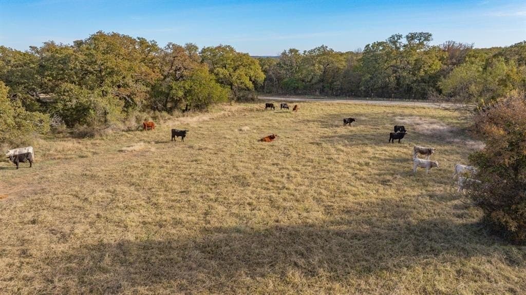 63 acres in Jack County - photo 39