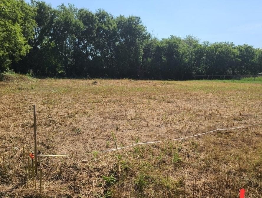 0.07 acres in Dallas County - photo 4