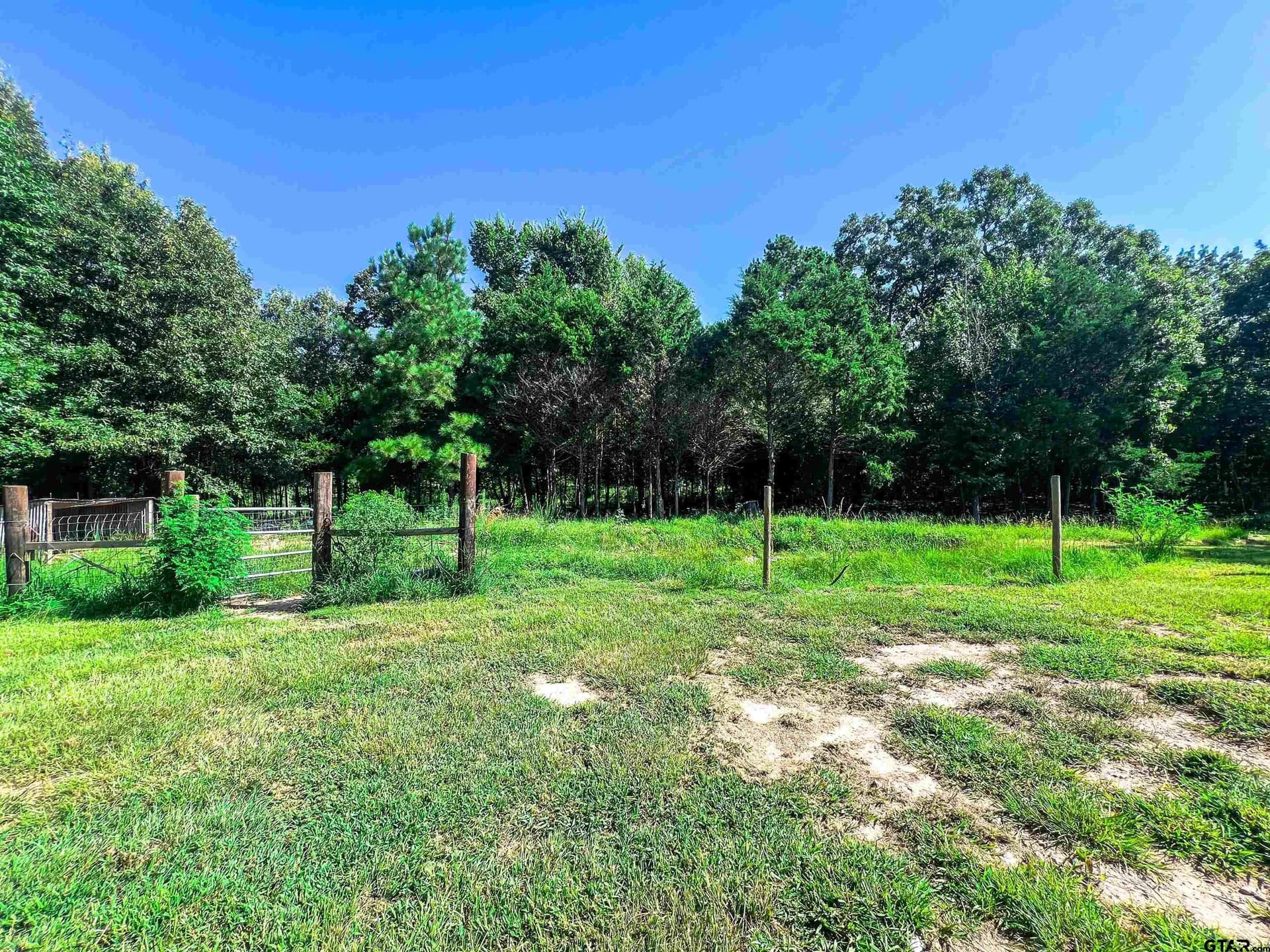 10 acres in Wood County - photo 26