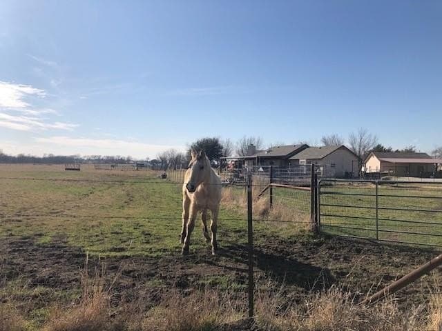 3.24 acres in Denton County - photo 2