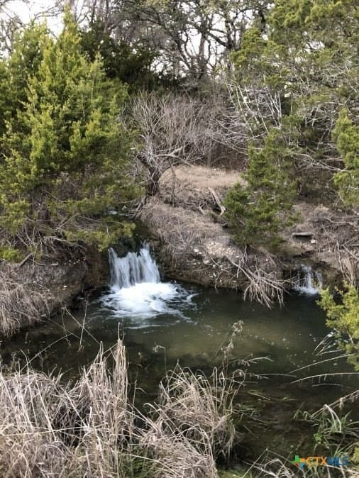 56.27 acres in Gillespie County - photo 45