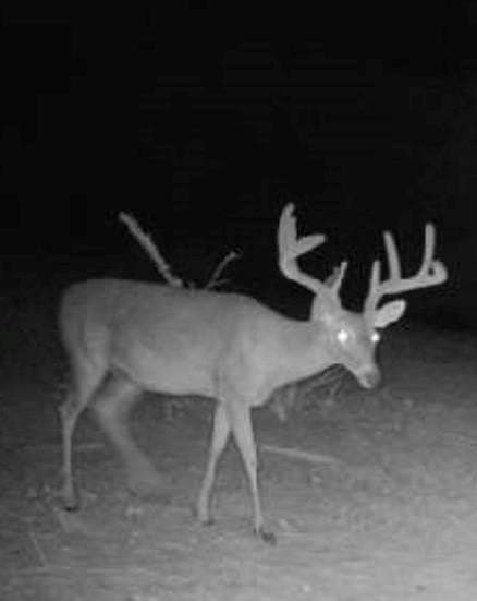 40 acres in Hamilton County - photo 37