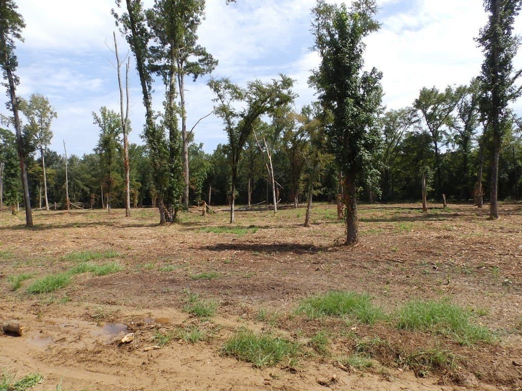 13 acres in Smith County - photo 6