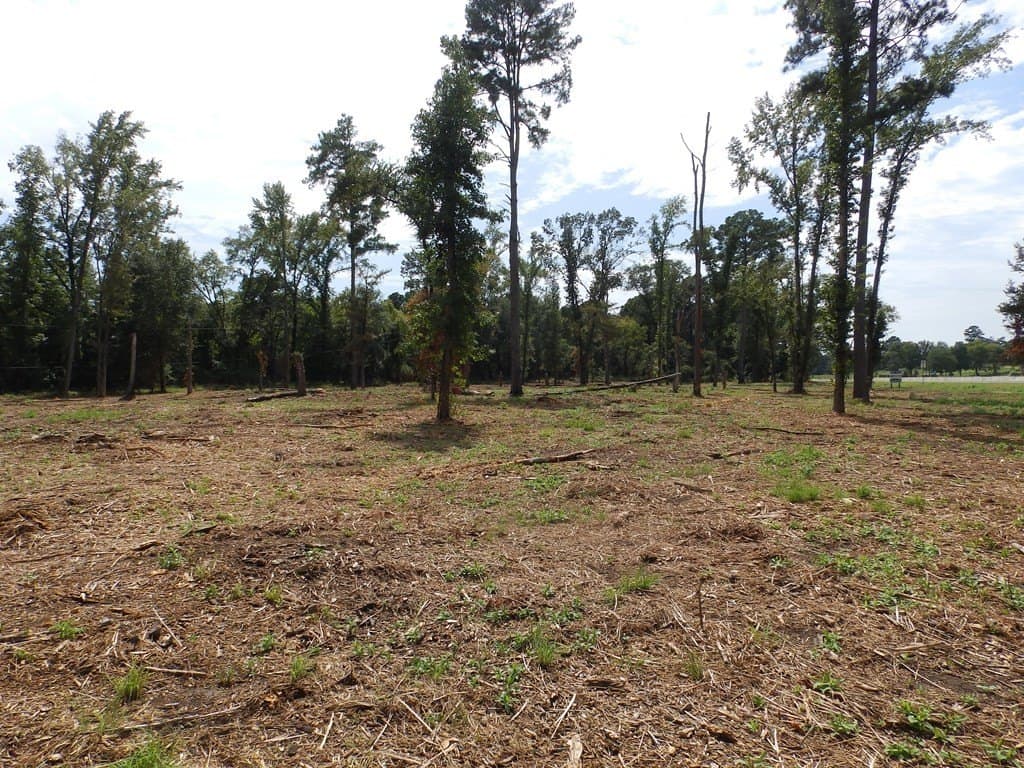 13 acres in Smith County - photo 8