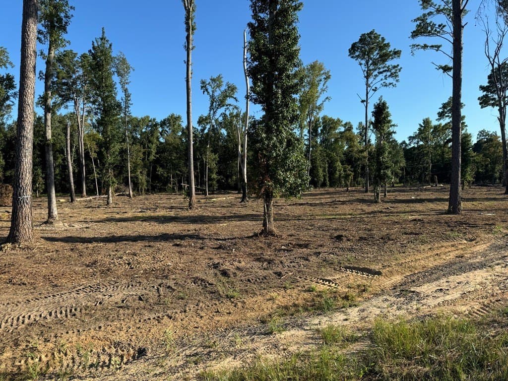 13 acres in Smith County - photo 10