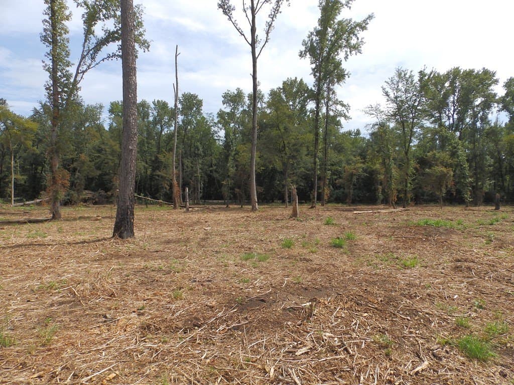 13 acres in Smith County - photo 7