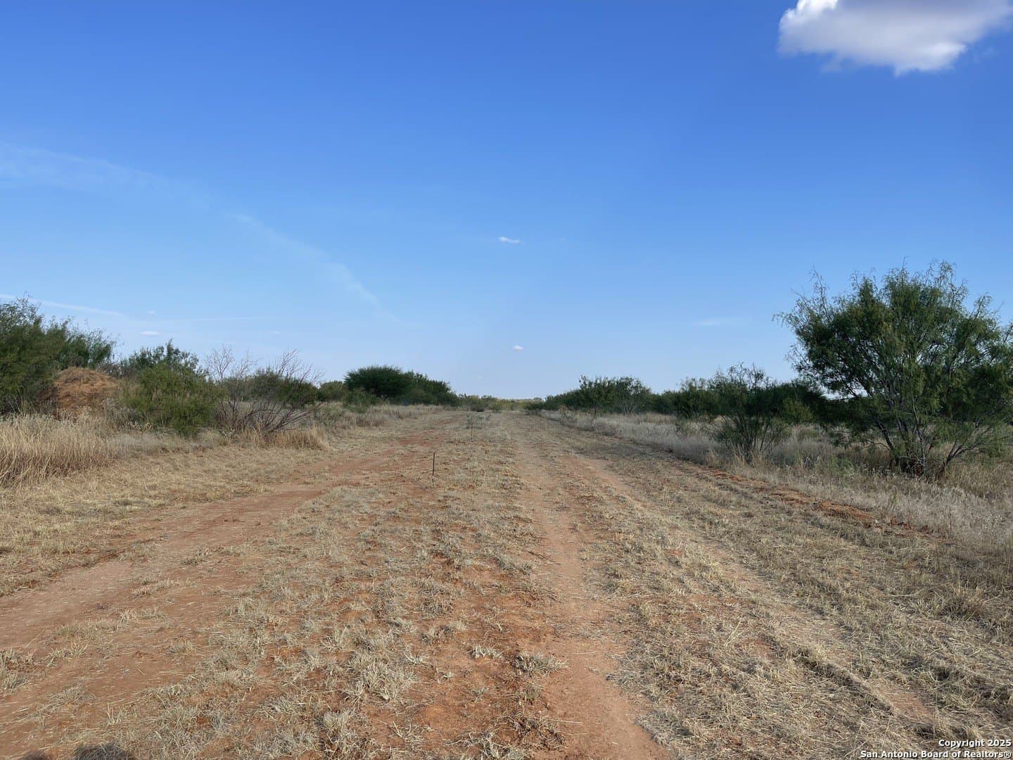 30.32 acres in Medina County - photo 6