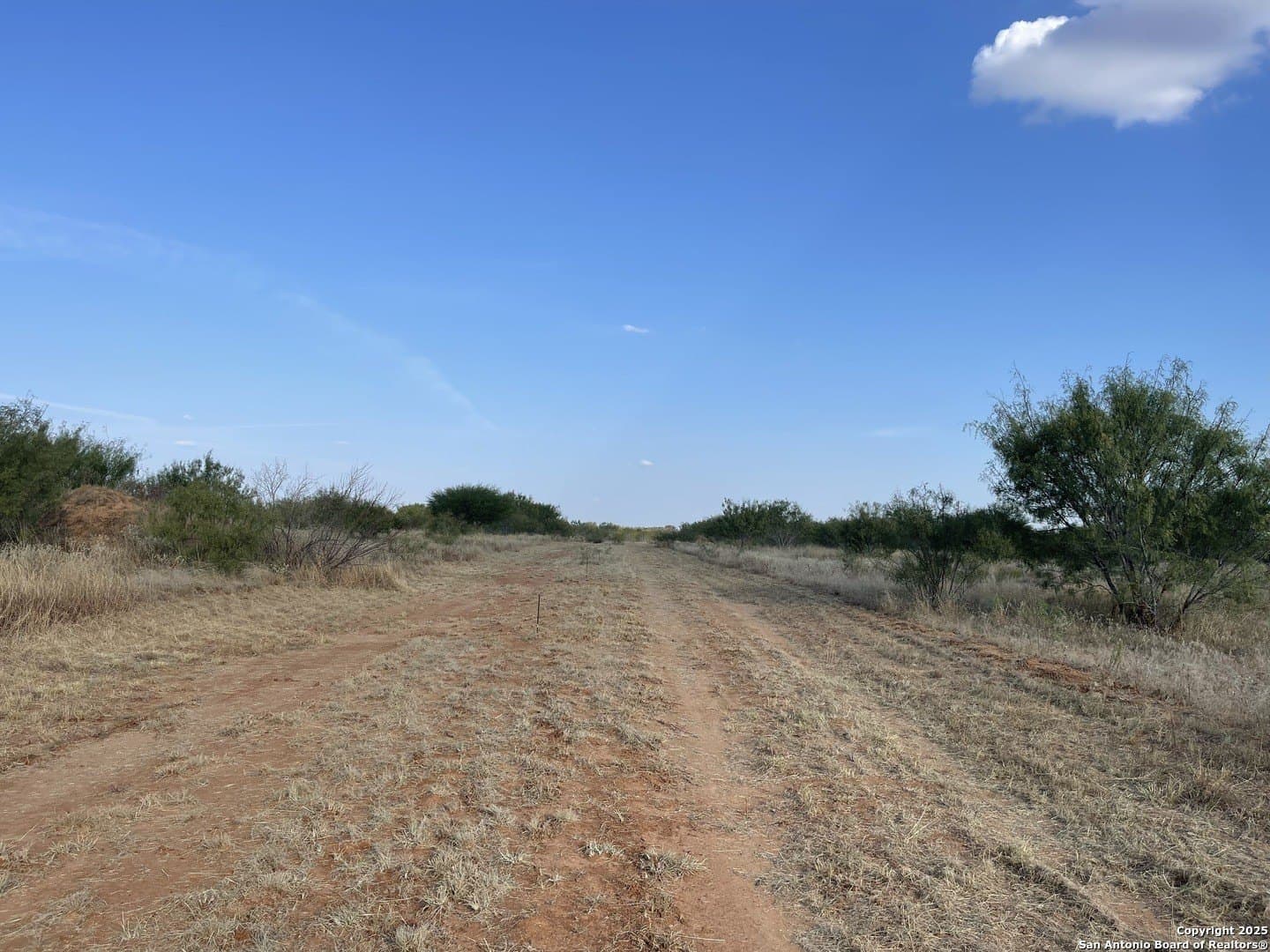 30.32 acres in Medina County - photo 8