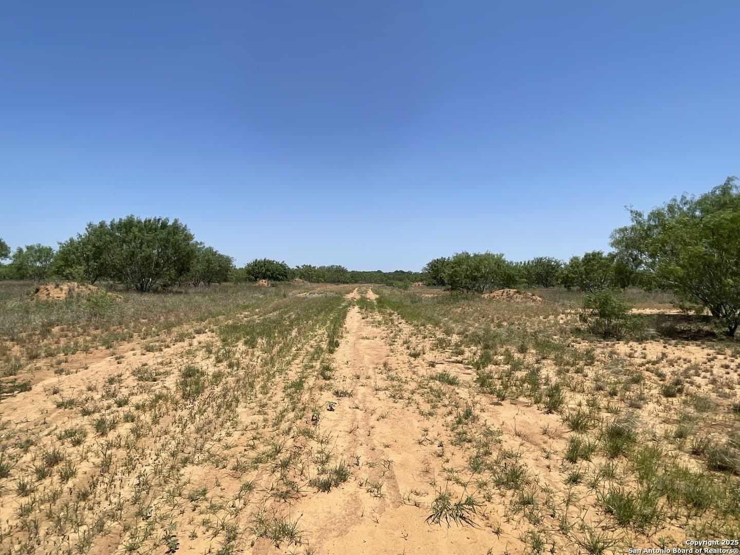 30.32 acres in Medina County - photo 4